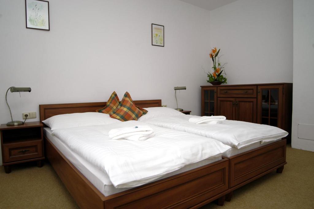 Hotel Loucky Litvinov Bilik gambar